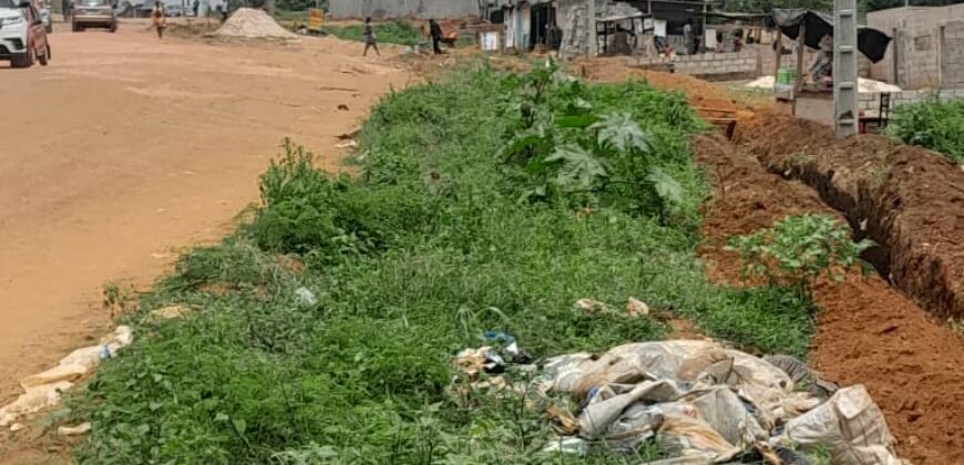 TERRAIN A VENDRE