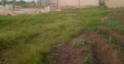 TERRAINS A VENDRE
