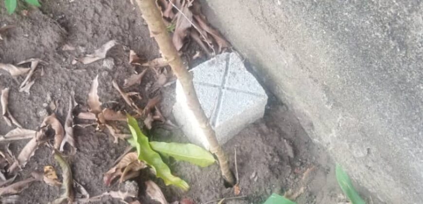 TERRAINS A VENDRE