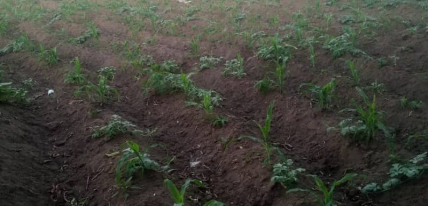 TERRAINS A VENDRE
