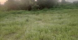TERRAINS A VENDRE