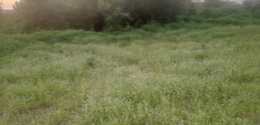 TERRAINS A VENDRE