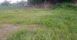 TERRAINS A VENDRE