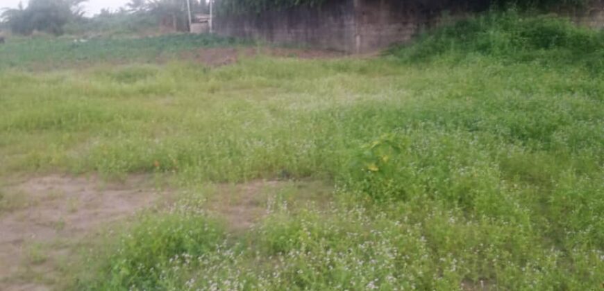 TERRAINS A VENDRE
