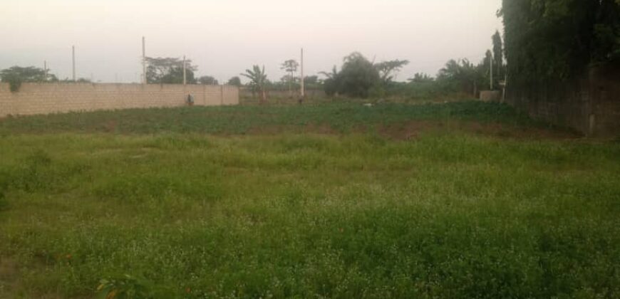 TERRAINS A VENDRE