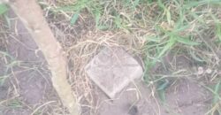 TERRAINS A VENDRE