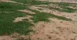 TERRAINS A VENDRE